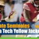 Florida State Seminoles vs. Georgia Tech Yellow Jackets Preview and NCAA Football Odds