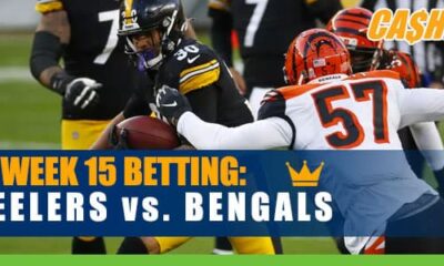 Pittsburgh Steelers vs. Cincinnati Bengals Monday Night Football NFL Week 15