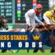 Updated Preakness Stakes 2021 Betting Favorites
