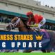2021 Preakness Stakes betting