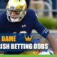 2021 Notre Dame Fighting Irish Betting Odds