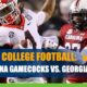 South Carolina Gamecocks at Georgia Bulldogs CashBet Odds Analysis