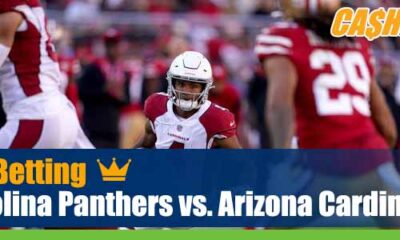 Carolina Panthers vs. Arizona Cardinals