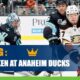 Seattle Kraken at Anaheim Ducks CashBet Wagering Analysis