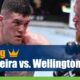 Rodolfo Vieira vs. Wellington Turman