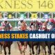 2022 Preakness Stakes Betting Information Odds and Picks