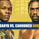 UFC 276 – Adesanya vs. Cannonier odds and picks