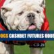 2022 Georgia Bulldogs Season Betting Analysis and Odds by CashBet Sportsbook